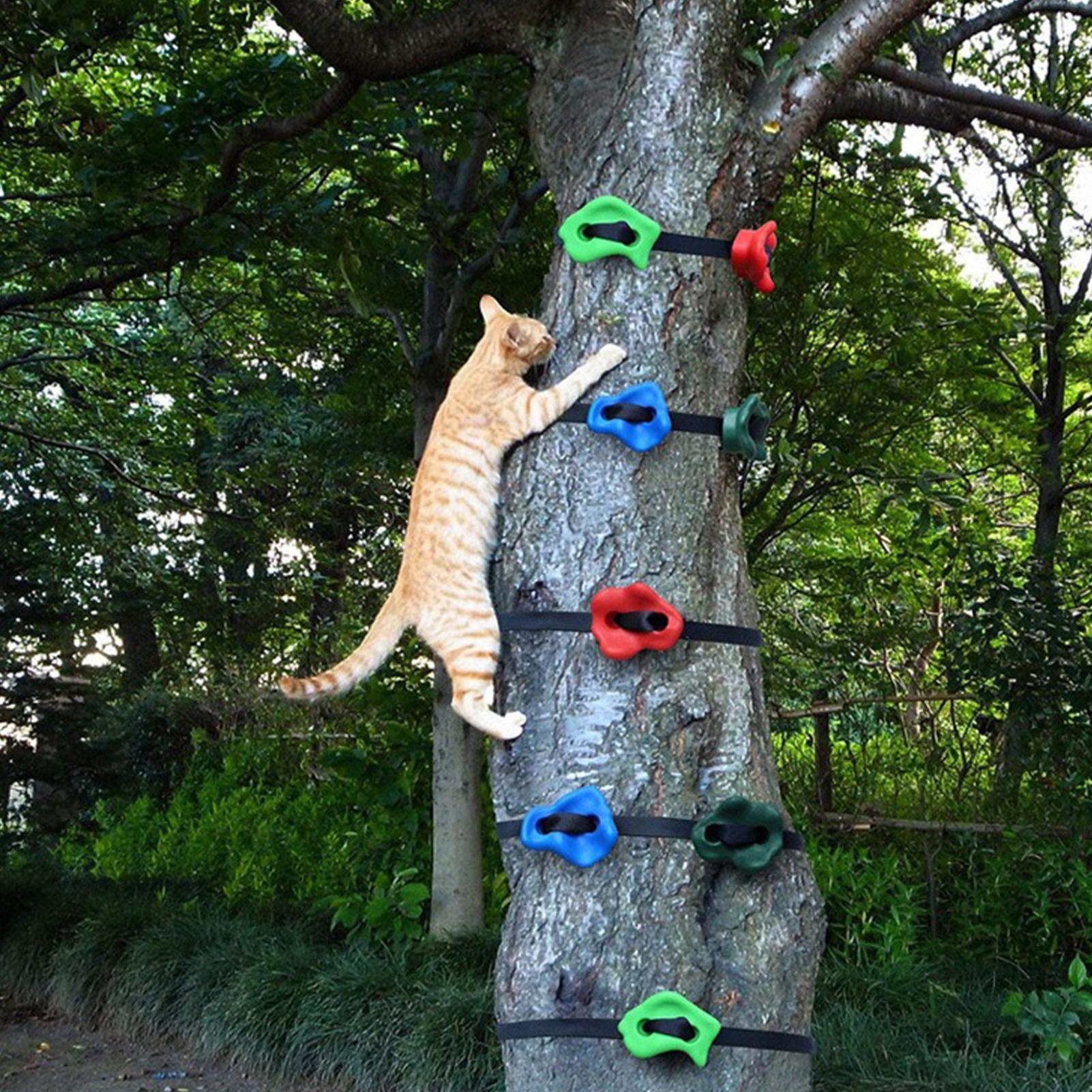 Giocattoli da Arrampicata per  - Outdoor Adventure Course recensione e prezzo